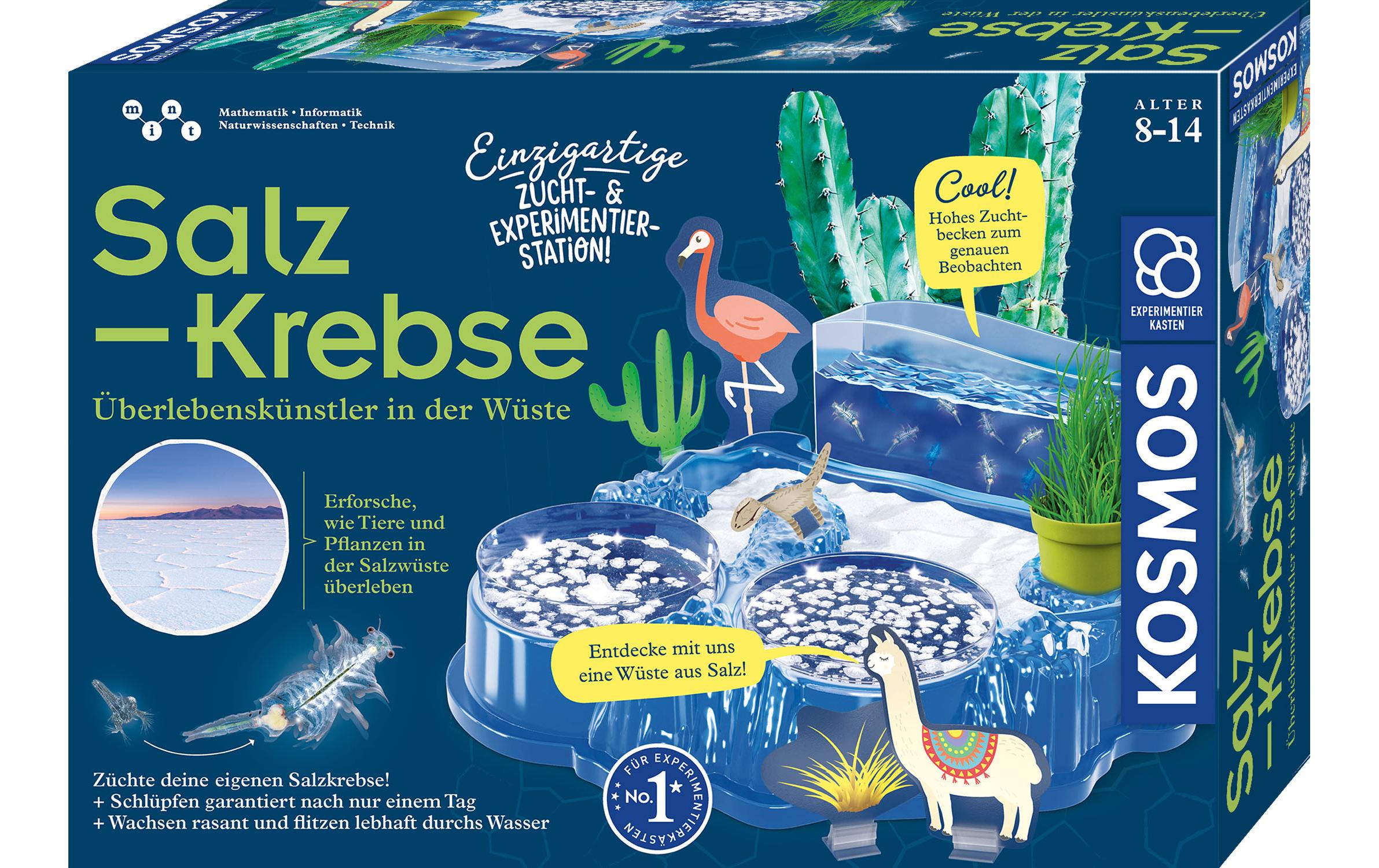 Salzkrebse