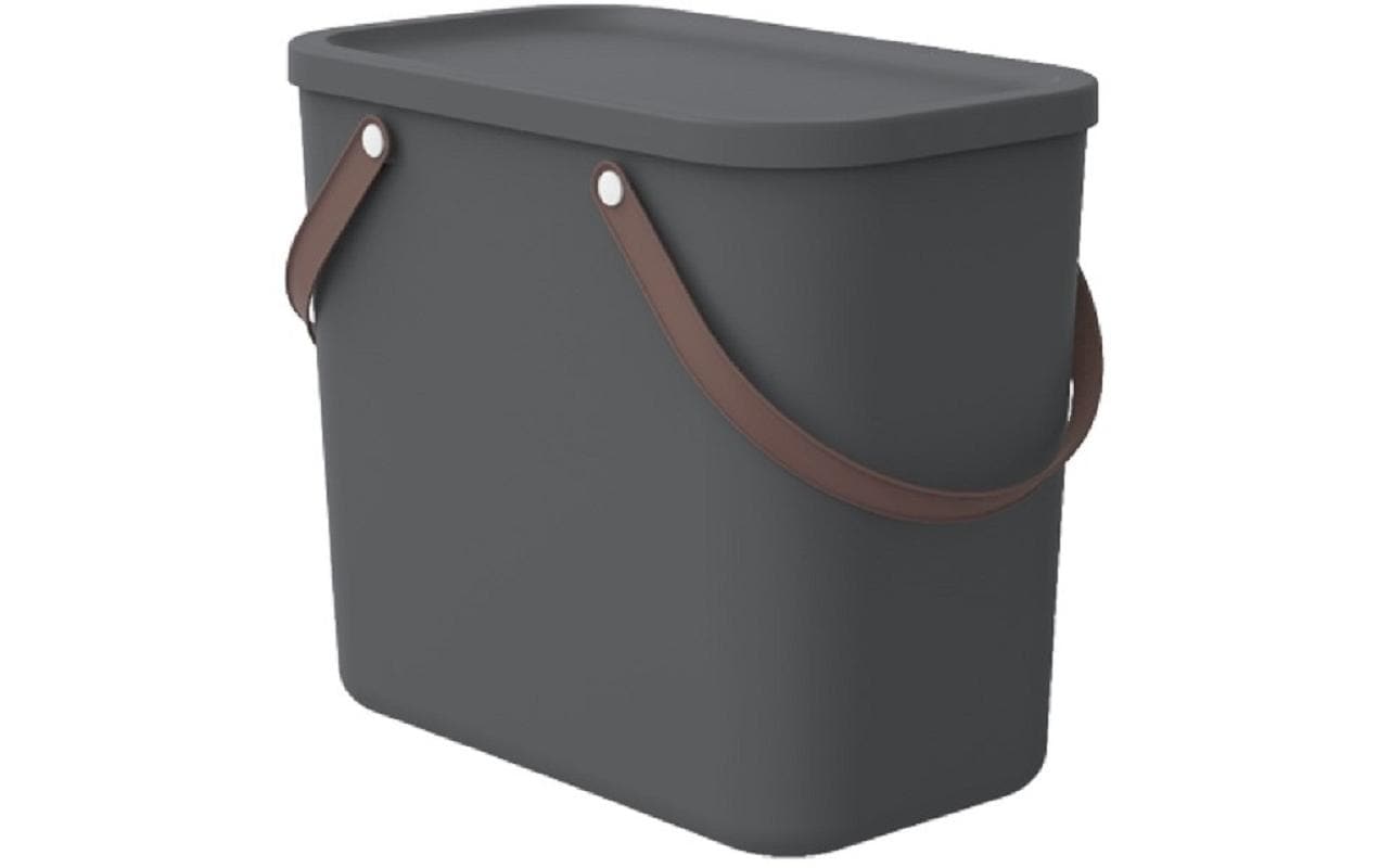 Rotho Aufbewahrungsbox A 25 l ALBULA Anthrazit