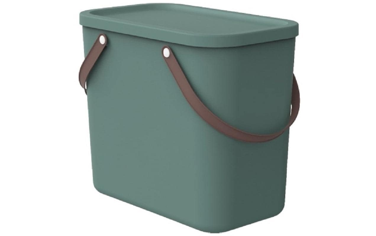 Rotho Aufbewahrungsbox G 25 l ALBULA Mistletoe green