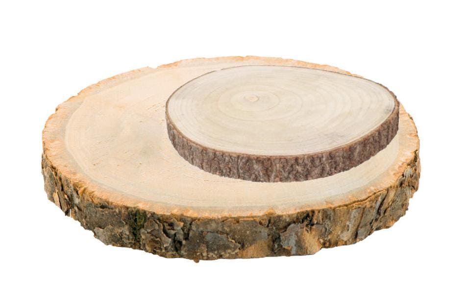 Dekomat Holz-Baumscheibe mit Rinde 24x2.5 cm (DxH)