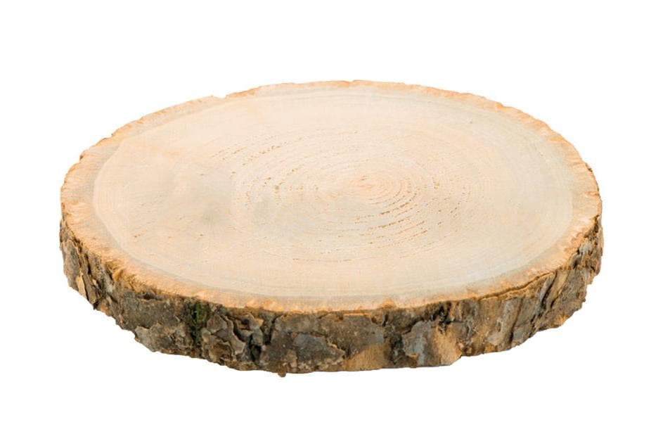 Dekomat Holz-Baumscheibe mit Rinde 34x3.5 cm (DxH)