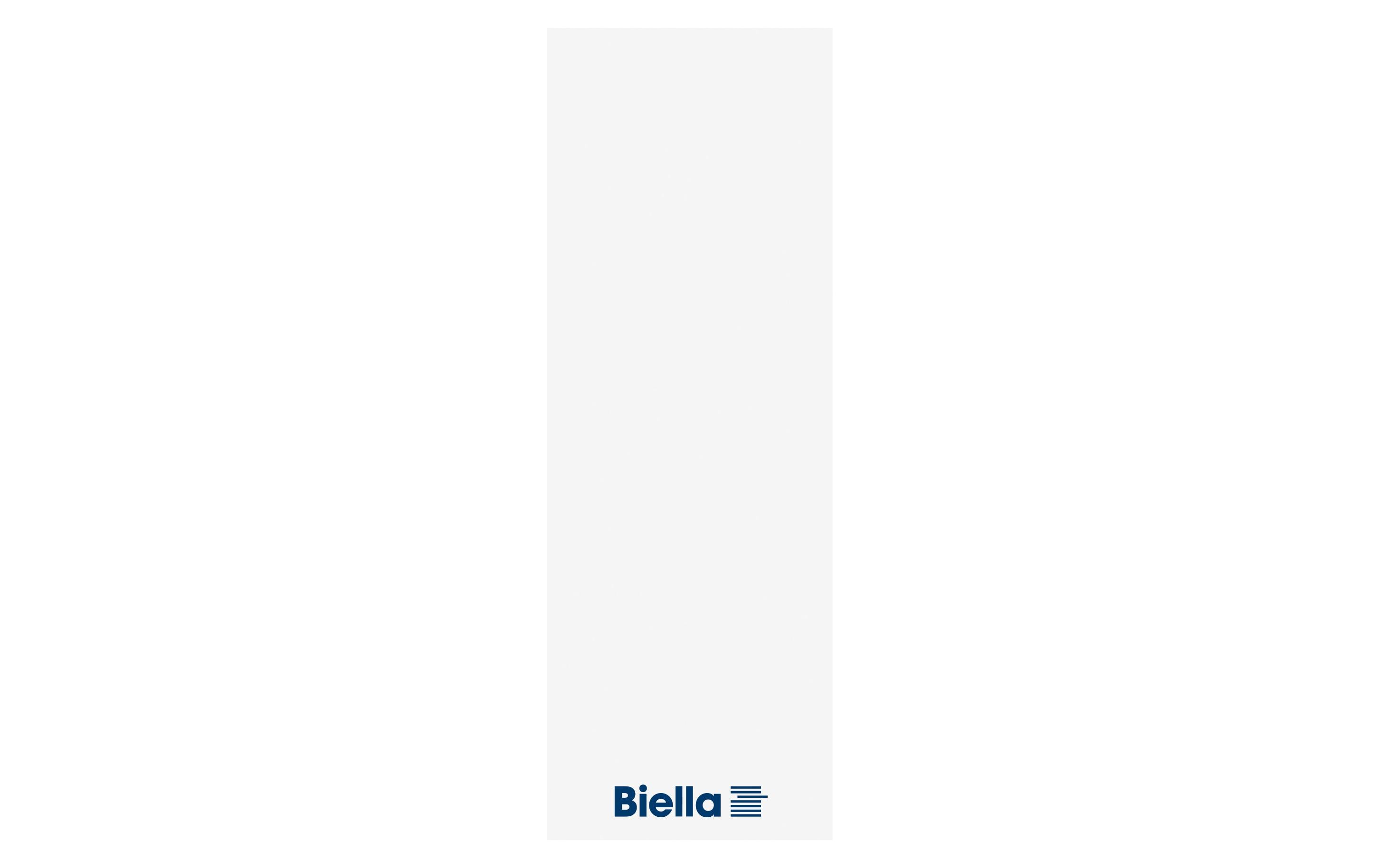 Biella Ordner-Rückenschilder lang 51 x 143 mm, 25 Stk