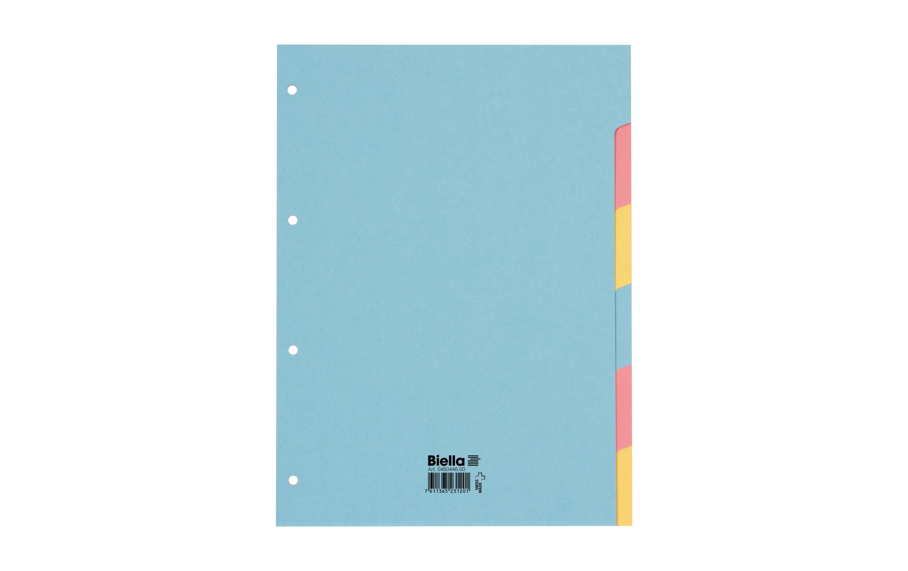 Biella Blanko-Register Karton 6-teilig, A4, 4-Loch