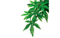 Exo Terra Jungle Plant Abuliton S (40cm/25cm)