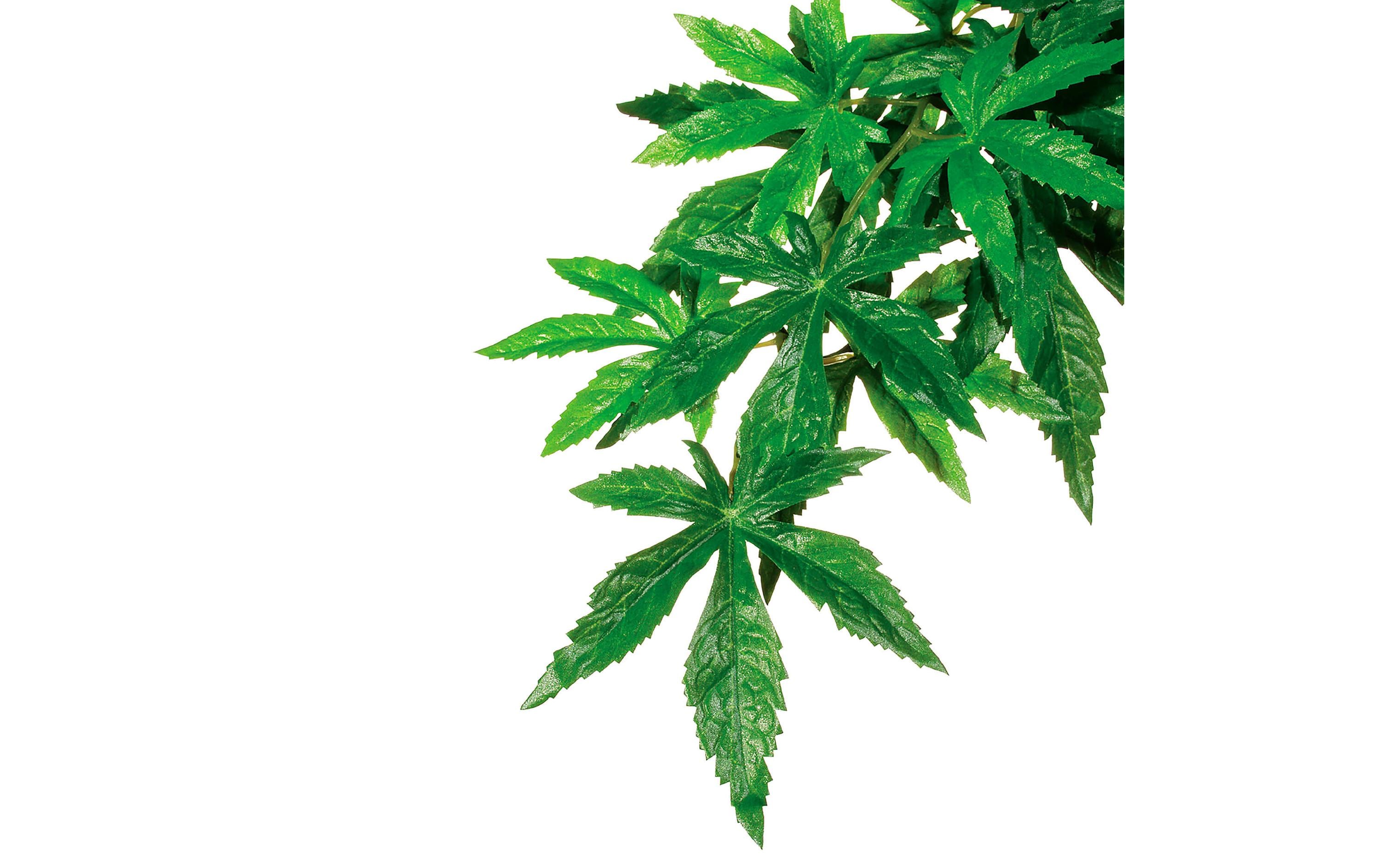 Exo Terra Jungle Plant Abuliton M (55cm/20cm)