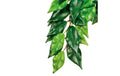 Exo Terra Jungle Plant Fikus S (45cm/20cm)