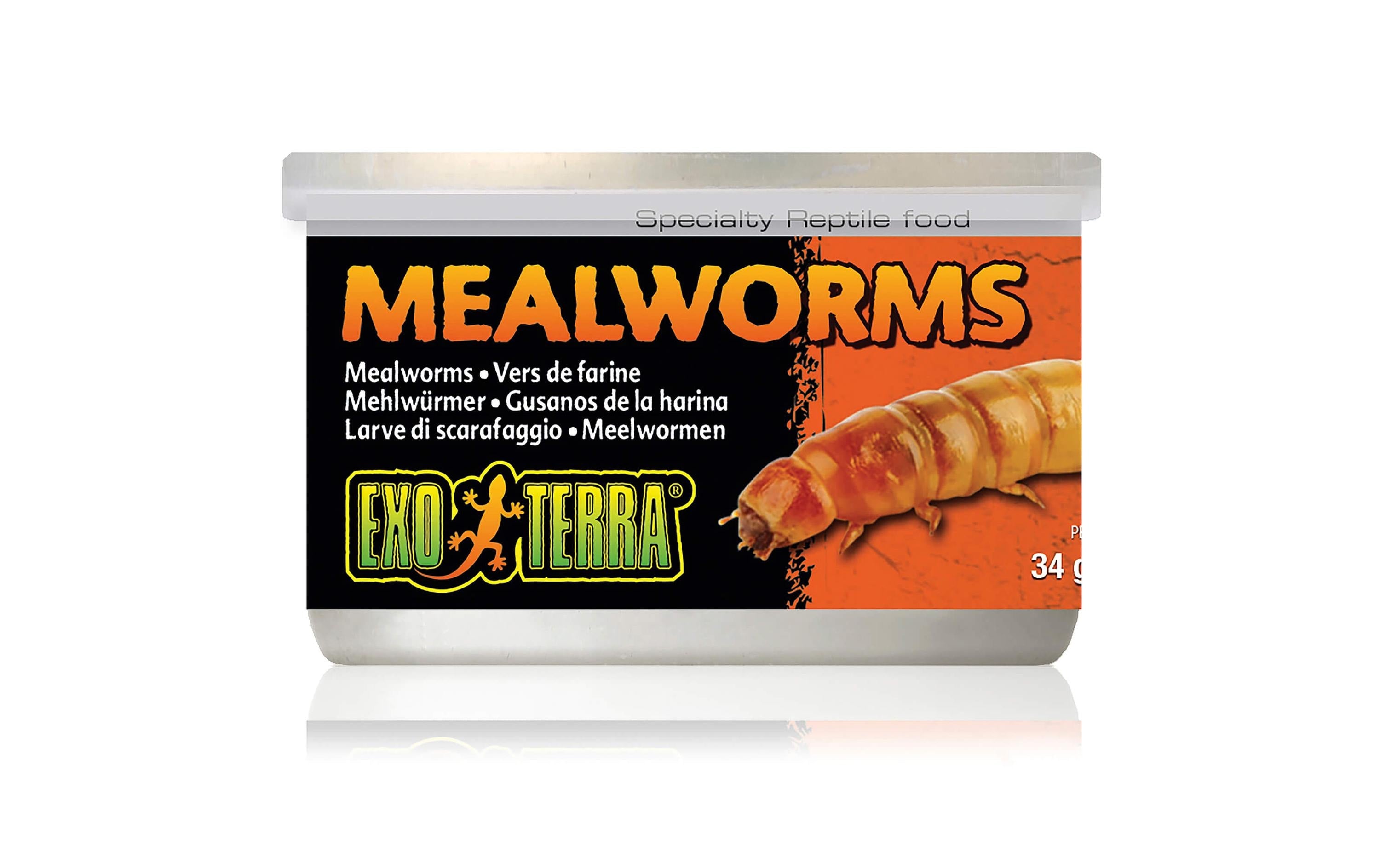 Exo Terra Mealworms 34 g