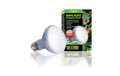 Exo Terra Daylight Basking Spot R20 (75W)
