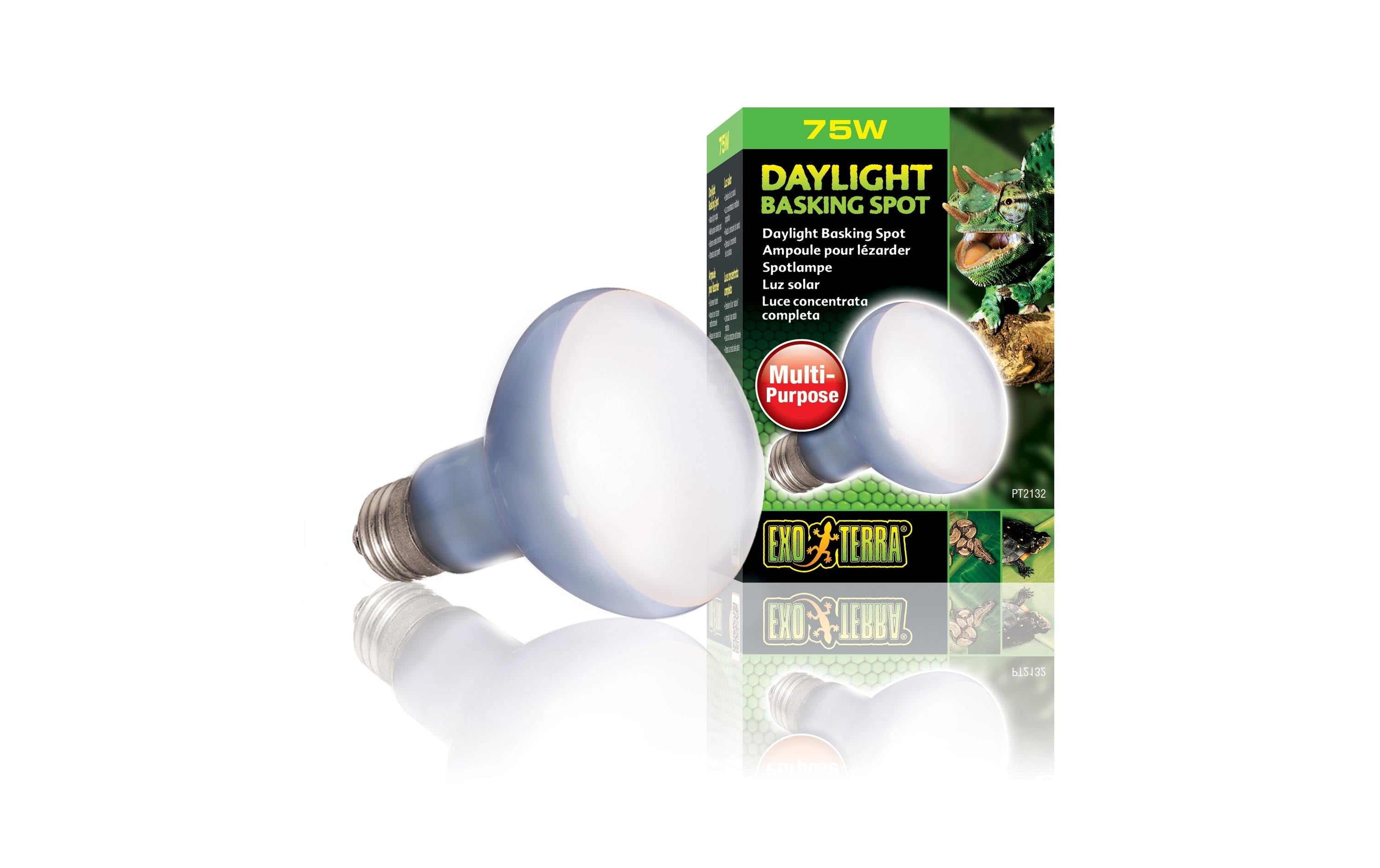 Exo Terra Daylight Basking Spot R20 (75W)