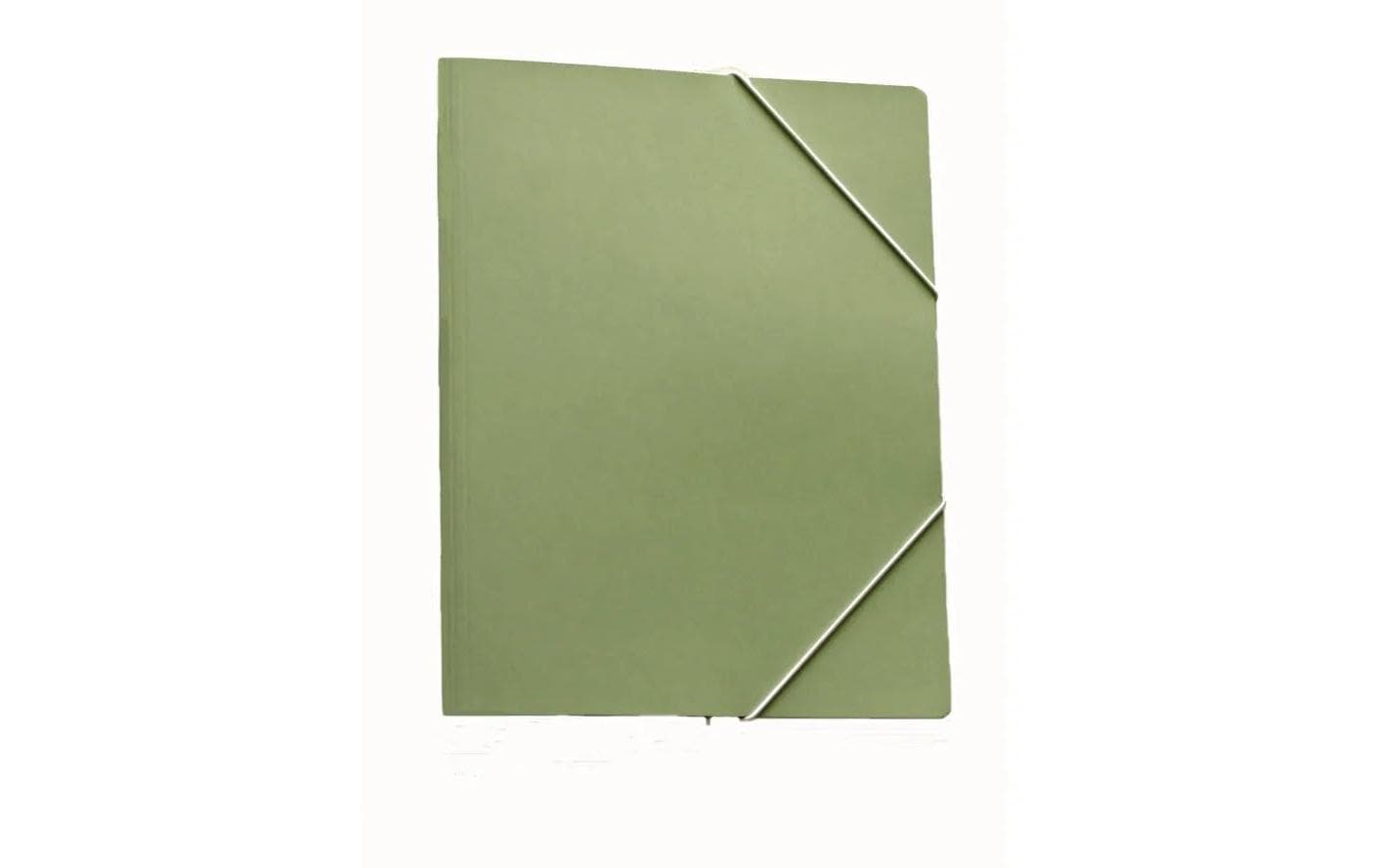 Erola Vertikalmappe 450gm2 grün