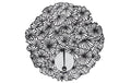 Chilewich Tischset Daisy 1 Stück Black, Round 38 × 38 cm