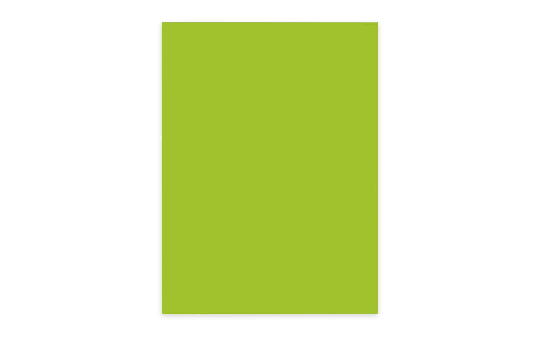Elco Büropapier Color A4, 80 g/m², intensiv grün, 100 Stk