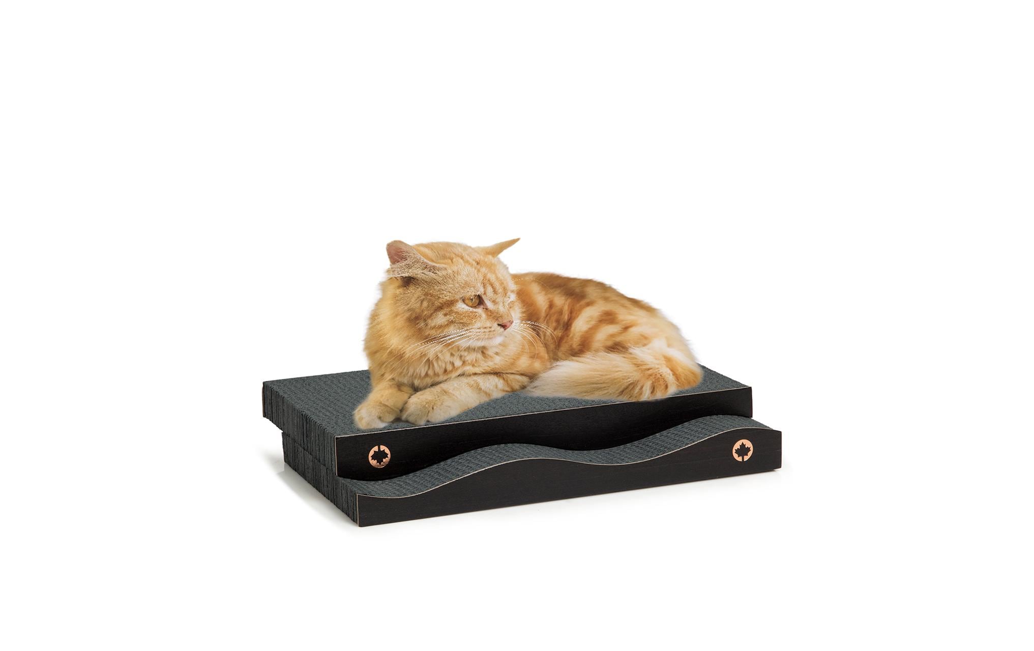 CanadianCat Kratzblock schwarz Black Edition