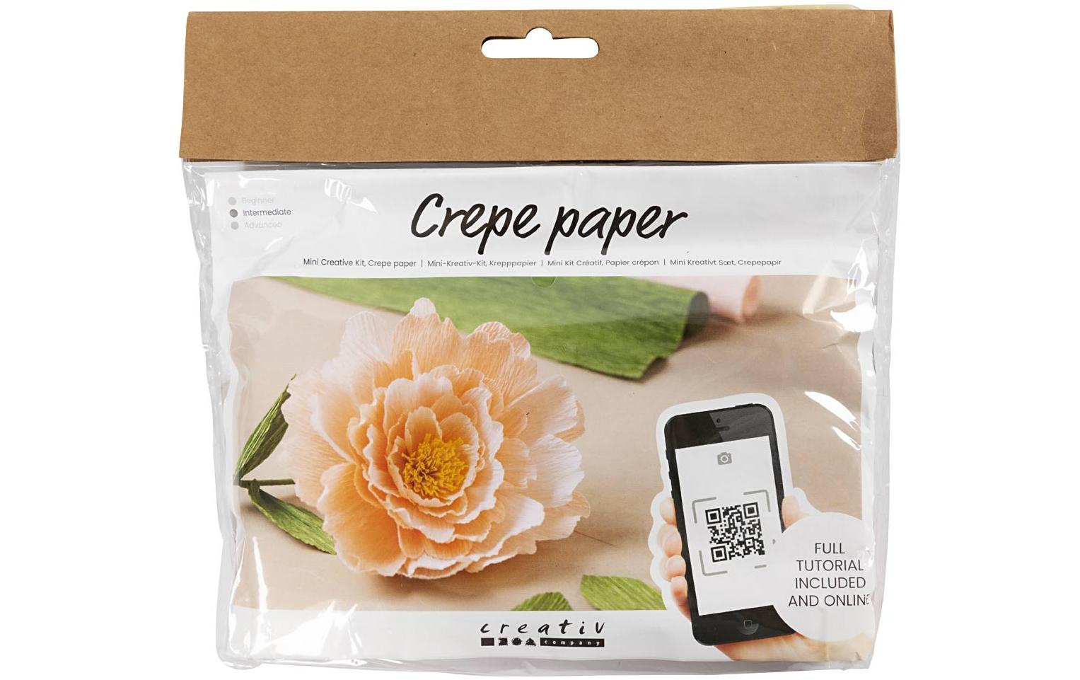 Creativ Company Krepppapier-Set Mini Bastelset Pfingstrose, inkl. Anleitung