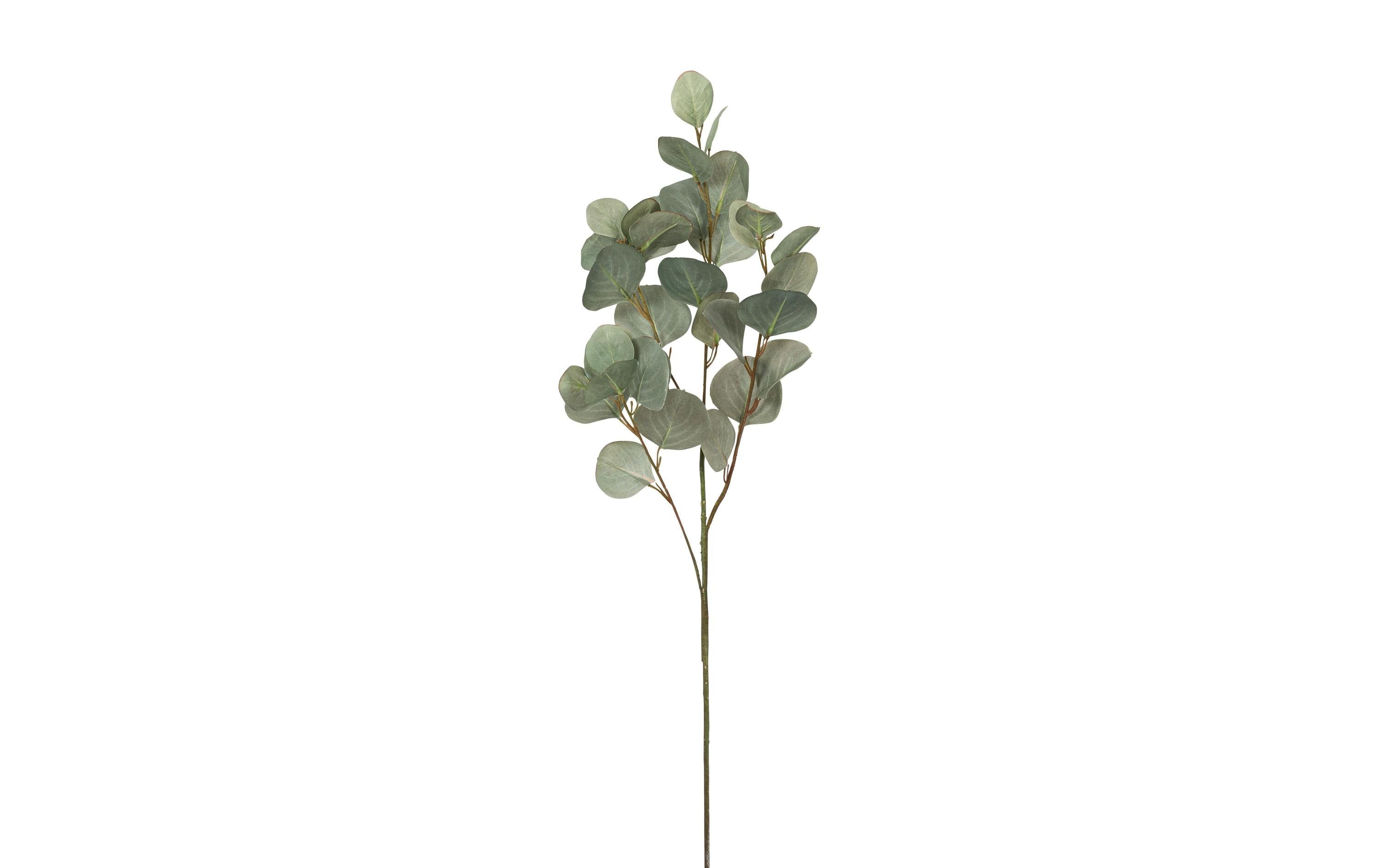Botanic-Haus Eukalyptuszweig 87 x 21 cm, Kunststoff, Einzeln