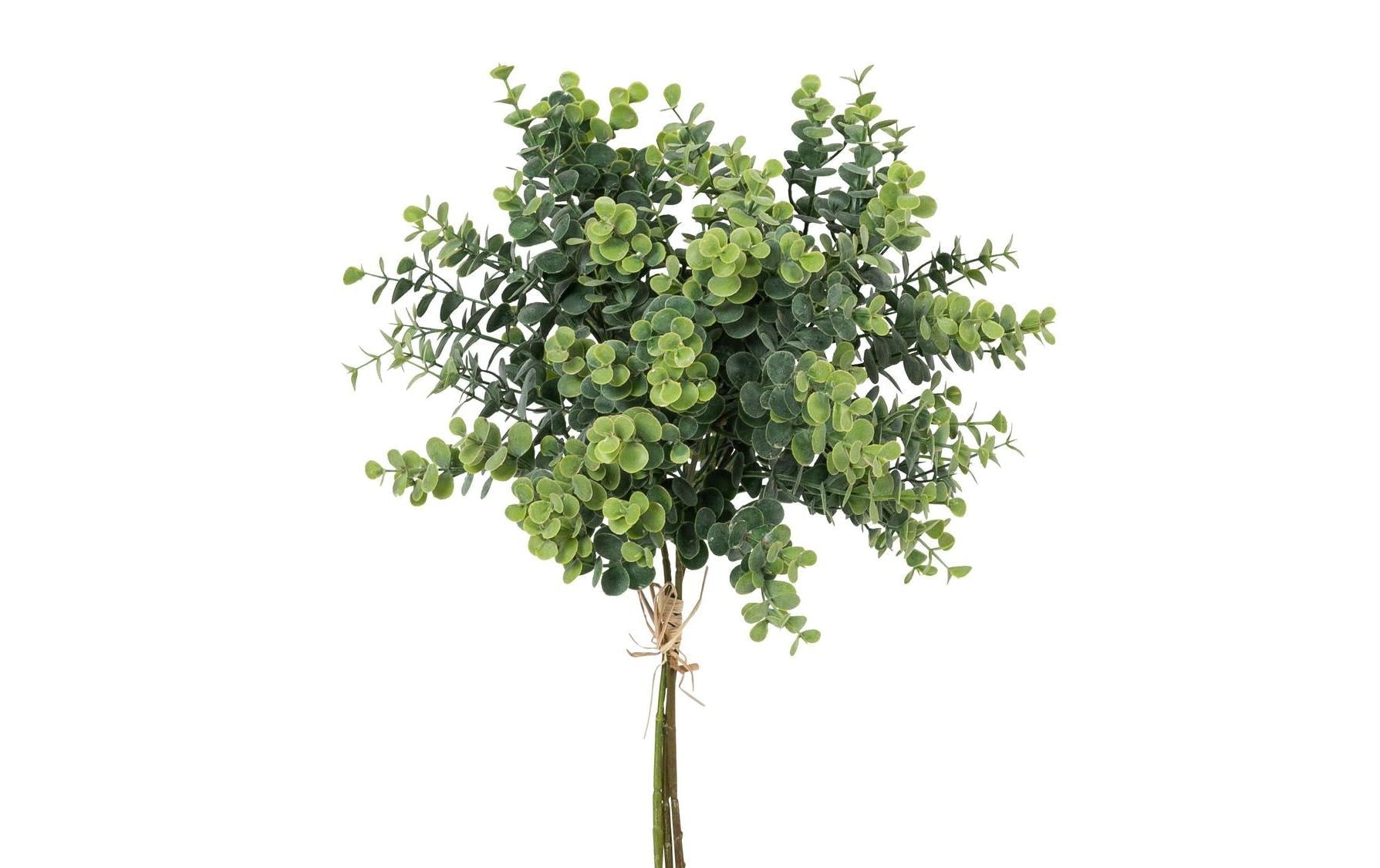 Botanic-Haus Eukalyptusbund. 3er Set 40 x 20 cm, Kunststoff, Einzeln
