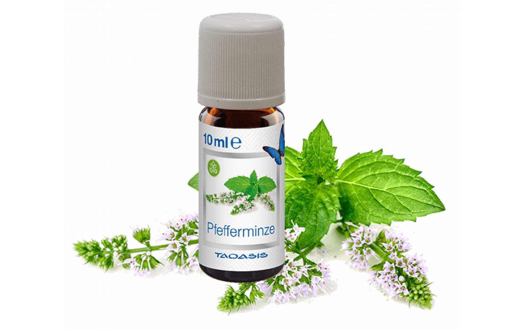 Venta Bio-Duftöl Pfefferminze 3 x 10 ml