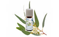 Venta Bio-Duftöl Eukalyptus 3 x 10 ml