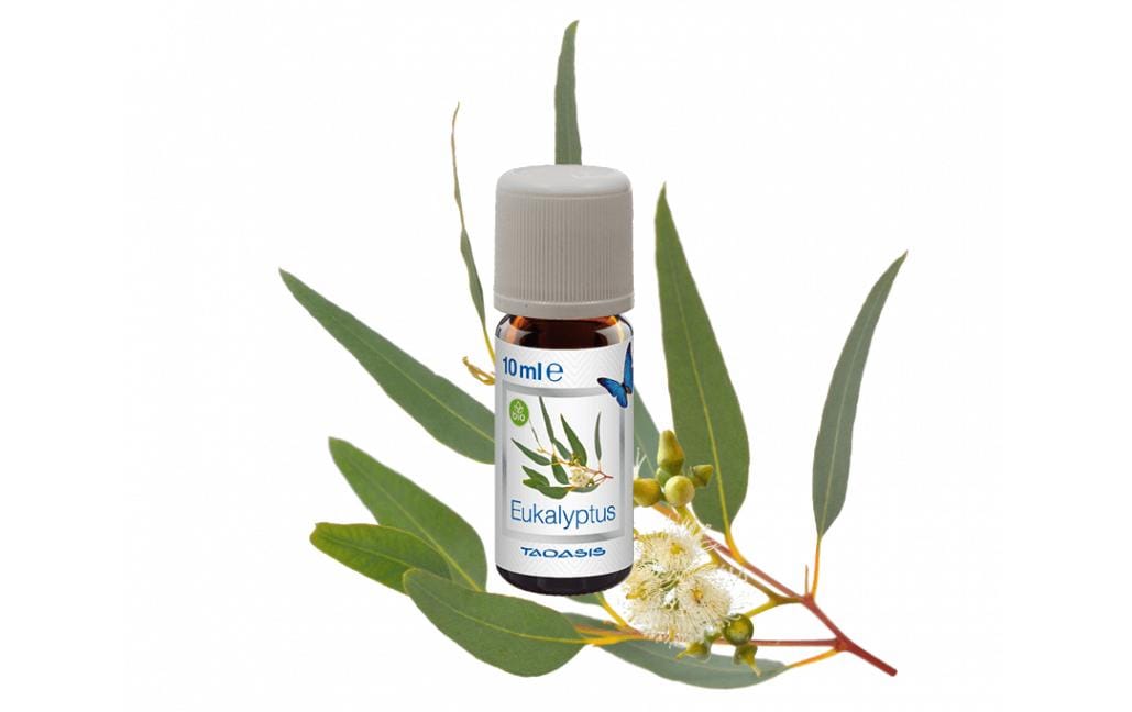 Venta Bio-Duftöl Eukalyptus 3 x 10 ml