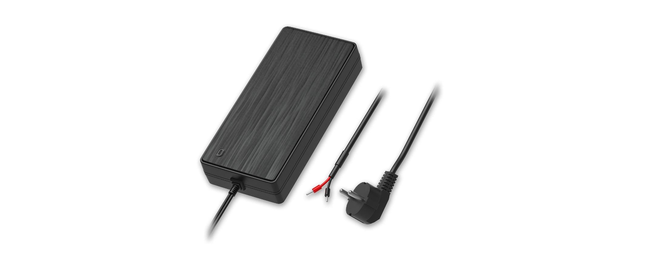 Teltonika PR320EUA: 2-Pin Netzteil, 250Watt Netzteil für Teltonika, mit CH-Fixadapter