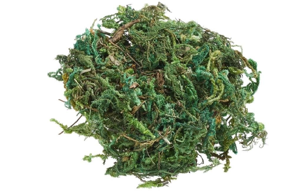 Hobbyfun Mini-Garten Moss hellgrün 20g