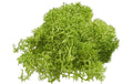 Hobbyfun Mini-Garten Islandmoos grün 20g