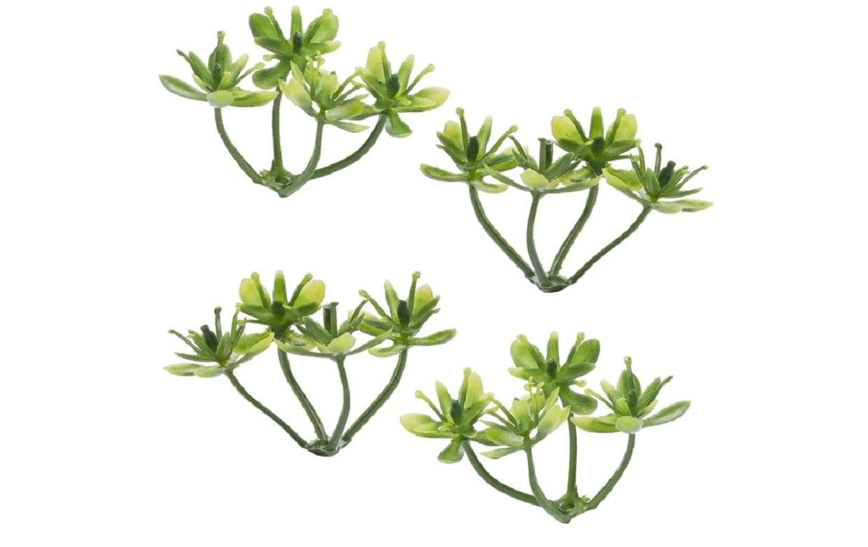 Hobbyfun Mini-Garten Buchs I 3 cm, 6 Stück