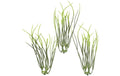 Hobbyfun Mini-Garten Gräser 9 cm, 5 Stück