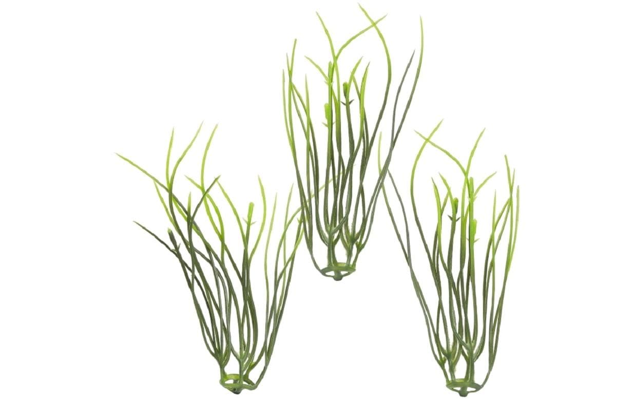 Hobbyfun Mini-Garten Gräser 9 cm, 5 Stück