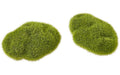 Hobbyfun Mini-Garten Moos Steine 6 cm, 2 Stück