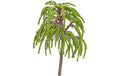 Hobbyfun Mini-GartenWeide 7.5 cm