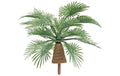 Hobbyfun Mini-Garten Palmstrauch 4 cm
