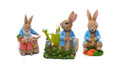 Potty Feet Beatrix Potter farbig