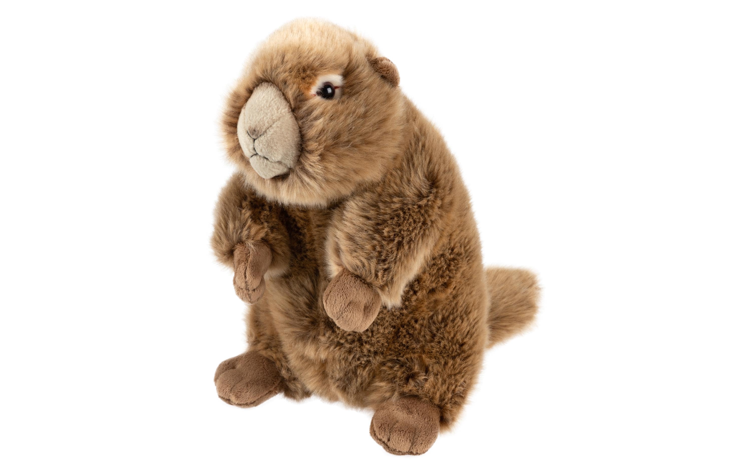 Swiss Plüsch Leo Brummbär Murmeltier 25cm