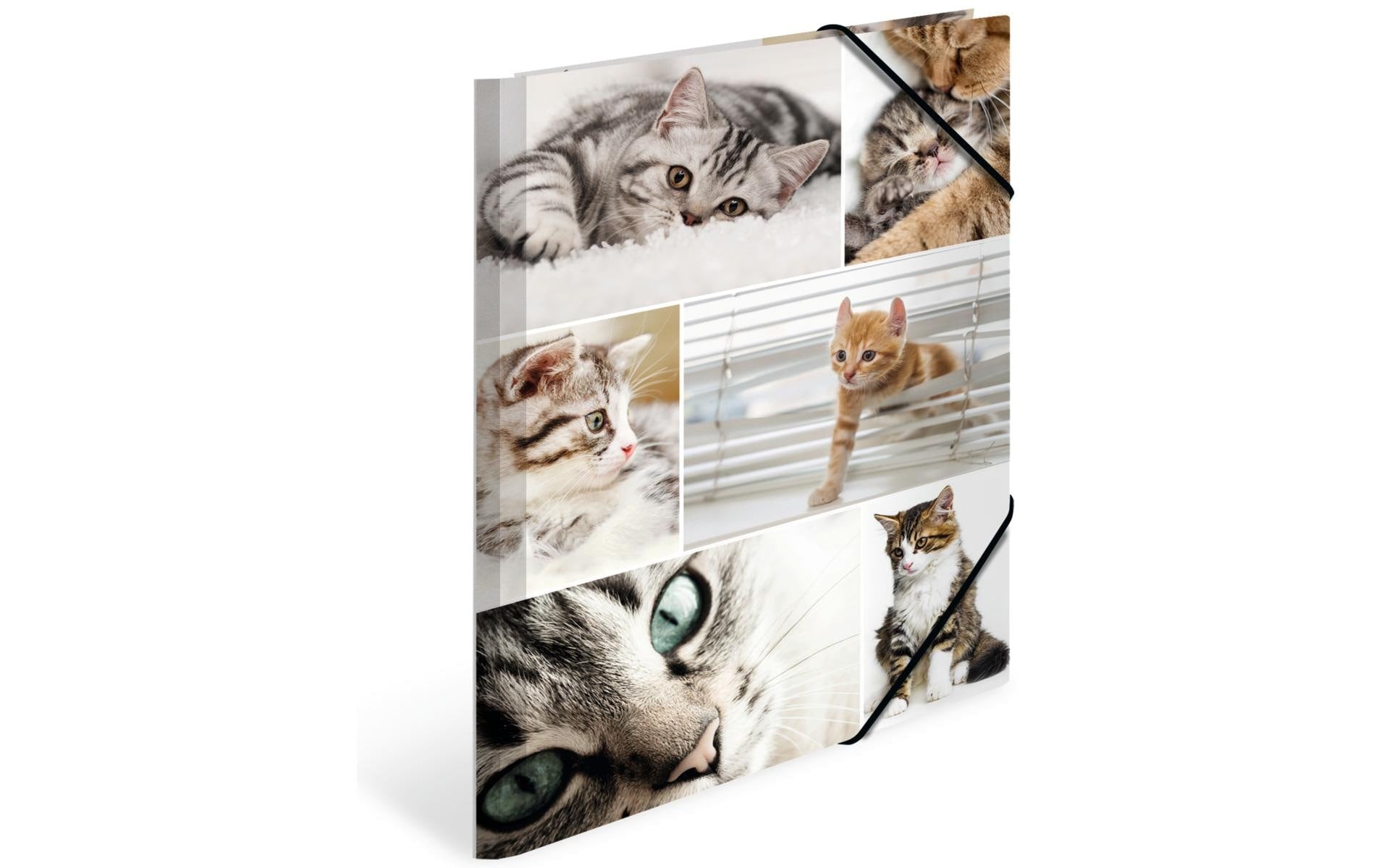 Herma Sammelmappe A4 Katzen Material: Karton, mit Innendruck