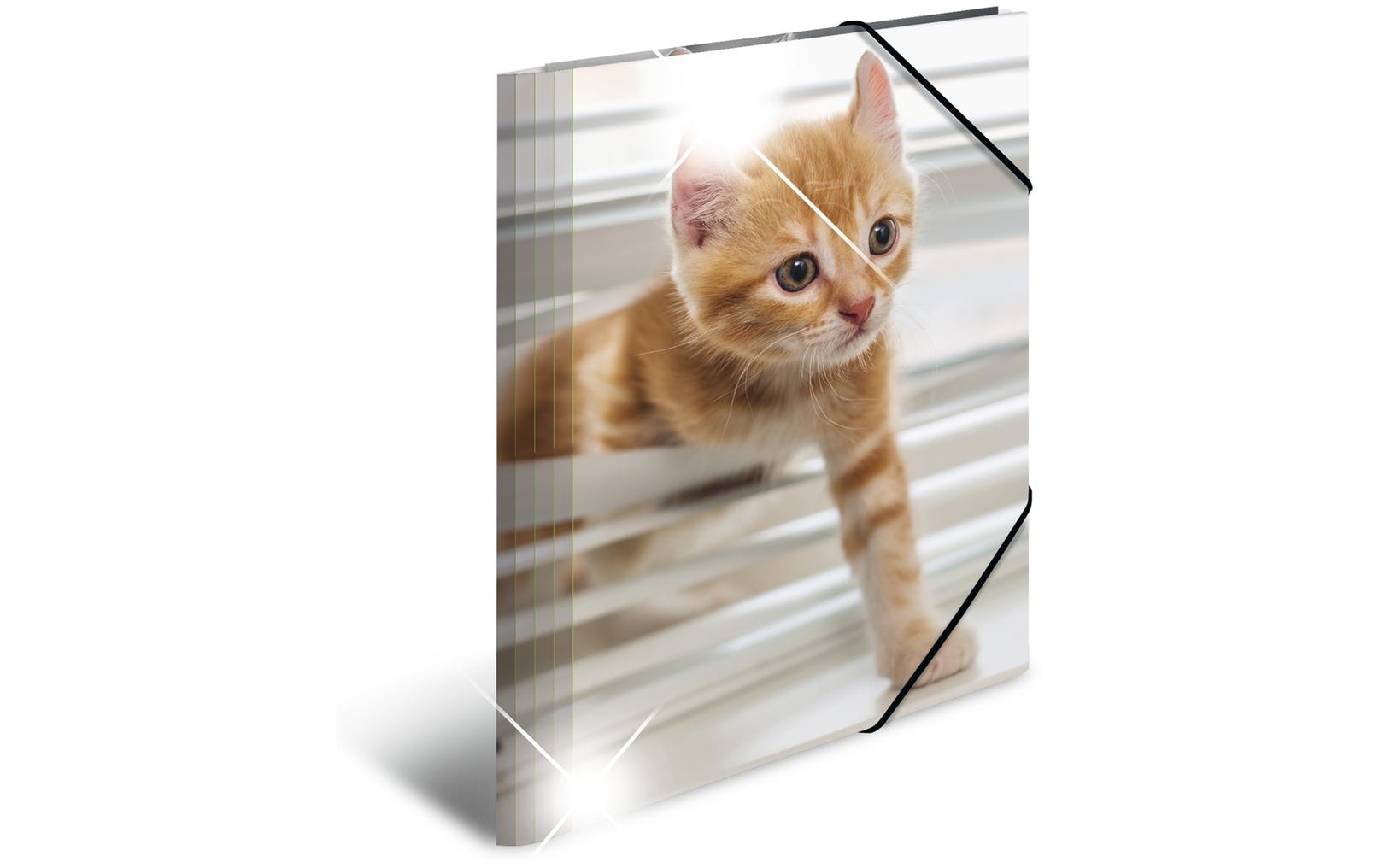 Herma Sammelmappe A4 Glossy Tiere Katzen Material: Polypropylen, mit Innendruck