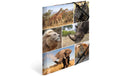Herma Sammelmappe A4 Animals Afrika Material: Karton, mit Innendruck