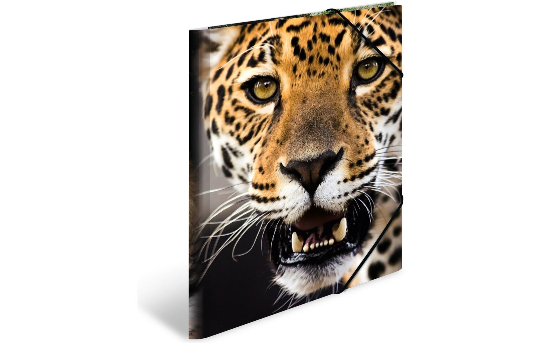 Herma Sammelmappe A4 Tiere Leopard Material: Polypropylen, mit Innendruck