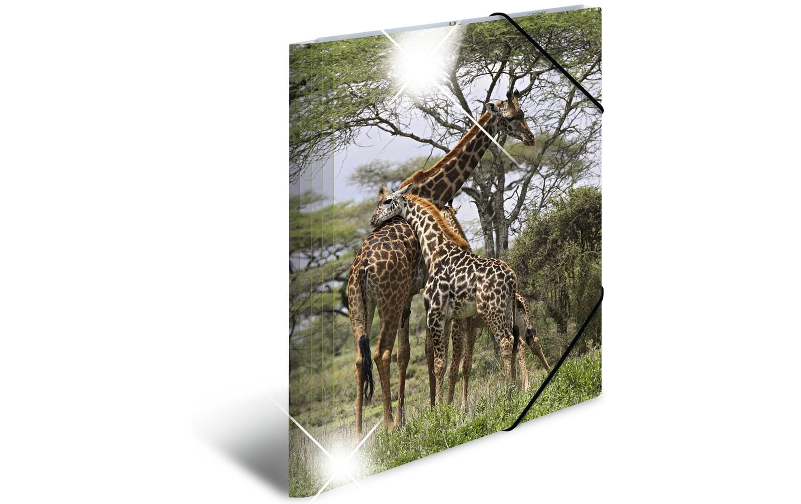 Herma Sammelmappe A4 Glossy Tiere Giraffe Material: Polypropylen, mit Innendruck