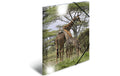 Herma Sammelmappe A3 Glossy Tiere Giraffe Material: Polypropylen, mit Innendruck