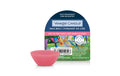 Yankee Candle Art in the Park Wax Melts