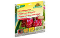 Kirschfliegen-Falle 7 Stk./pcs