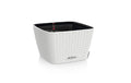 Terraillon Zen Rise 15450 Lichtwecker