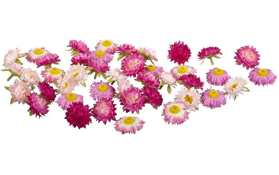 Dekomat Strohblüten, Rosa-Pink, 36 Stück im Beutel, Stoff, Kunststoff, D: 5 cm