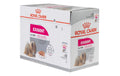Royal Canin NF Care Nutrition 12x85g Exigent Mousse