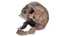 Nobby Aqua Ornaments Totenkopf 13.5x20x16.5cm