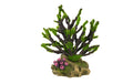 Nobby Aqua Ornaments Korelle m.Moos 19x12x20.8cm