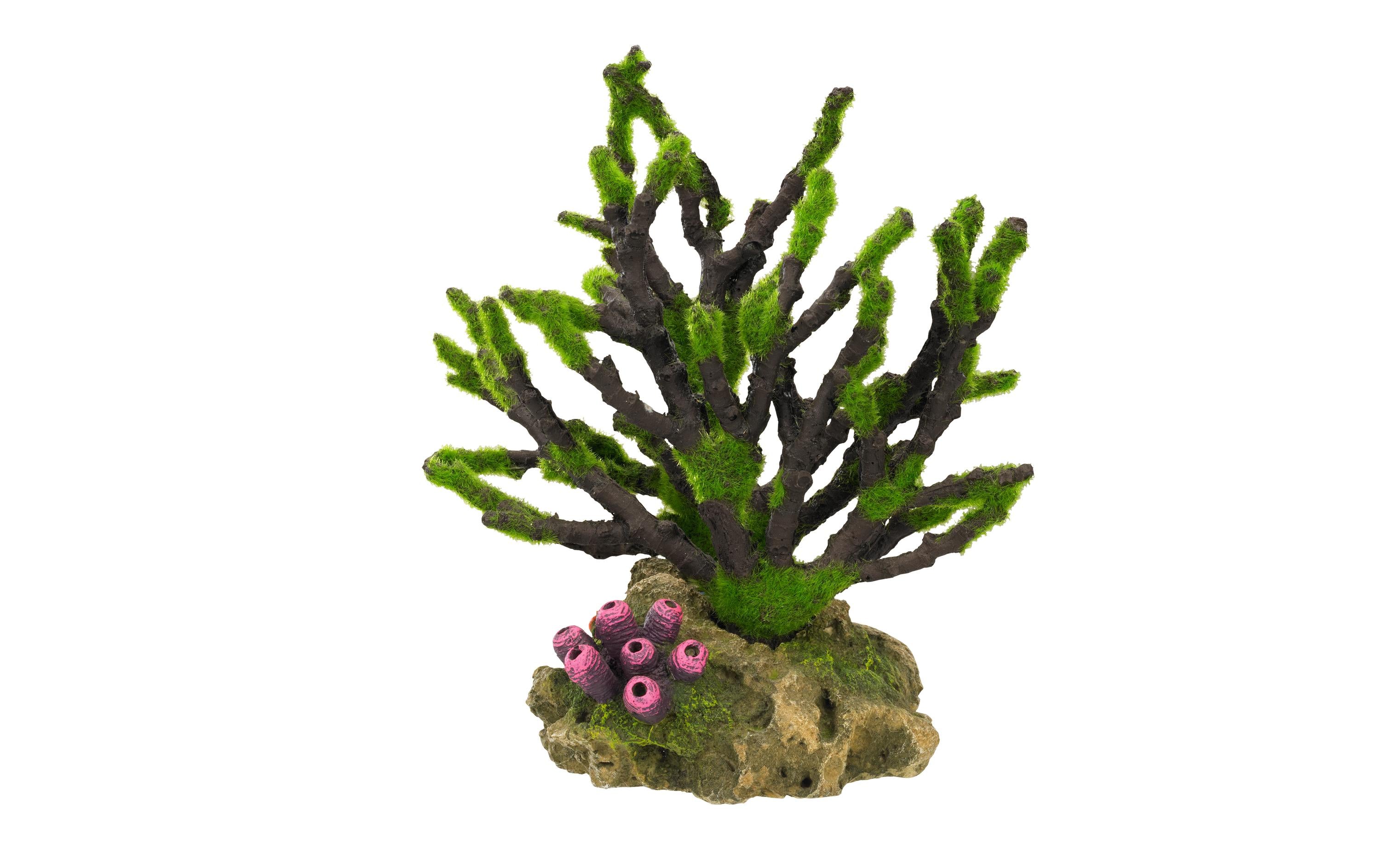 Nobby Aqua Ornaments Korelle m.Moos 19x12x20.8cm
