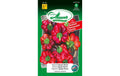 Samen Mauser Peperoni Topepo Rosso