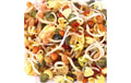 HARRY HERBS Microgreens Nachfüllset Daikon - Rettich